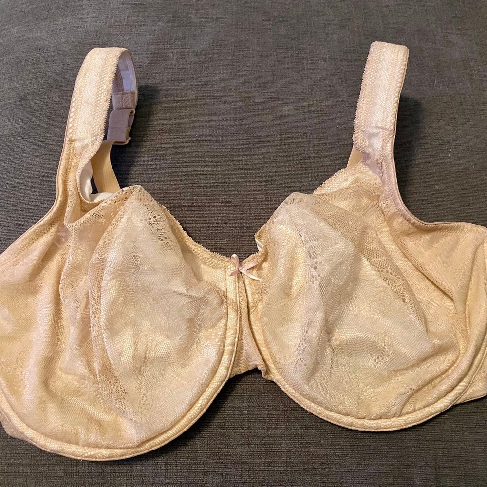 Lane Bryant/ Cacique bra 38H